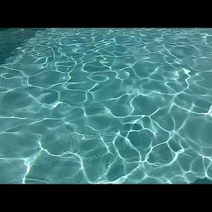 Meet your Posher, Julian